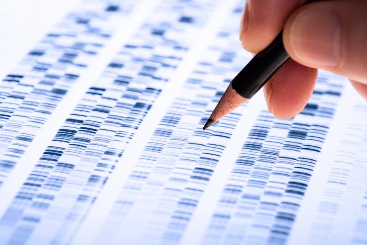 Photo of In Daten aus Excel konvertiert: Dutzende umbenannter Gene