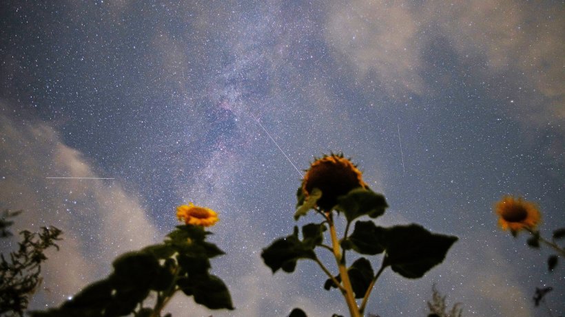 Photo of Perseiden: So viele Sternschnuppen sind jetzt zu sehen