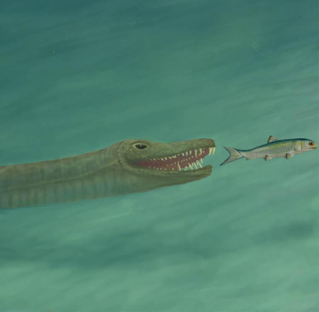 Ein Tanystropheus jagt nach einem Unterwasserfisch (Abbildung)